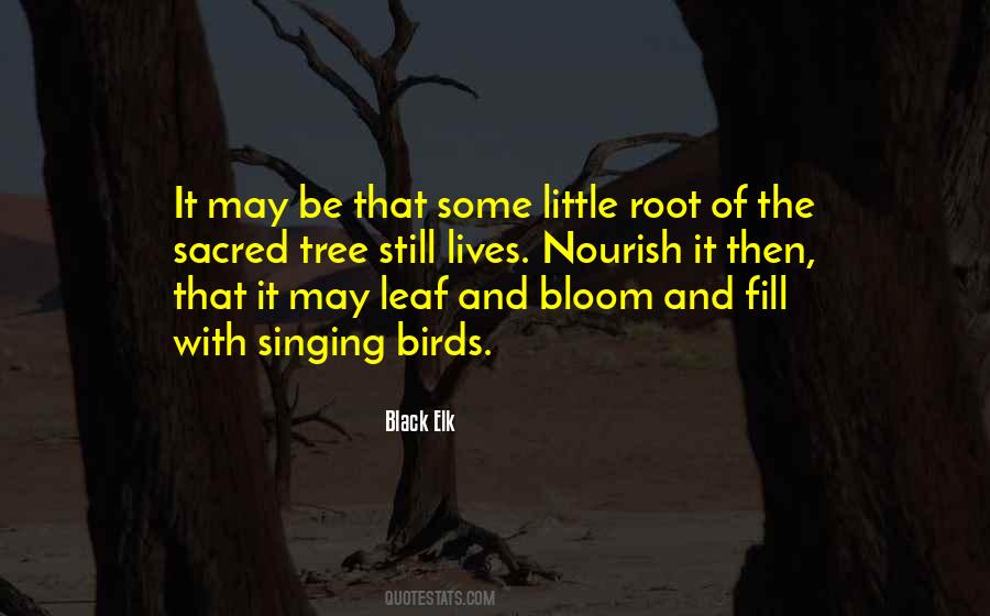 Tree And Bird Quotes #388796