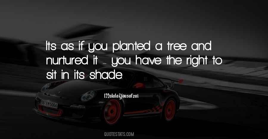 Tree And Shade Quotes #585959