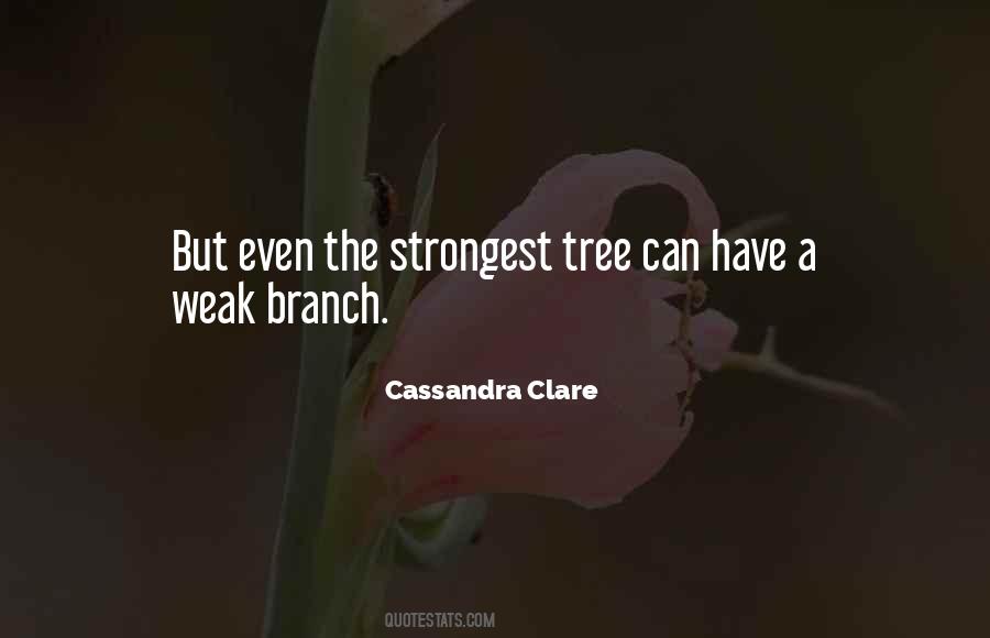 Tree Branch Quotes #1494656