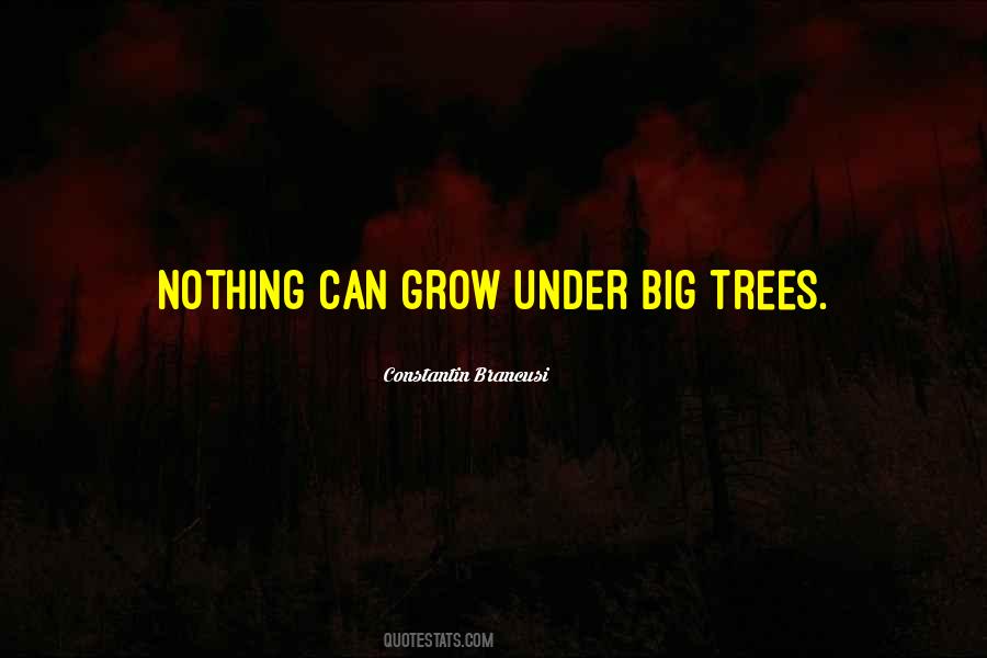 Tree Grow Quotes #1018728