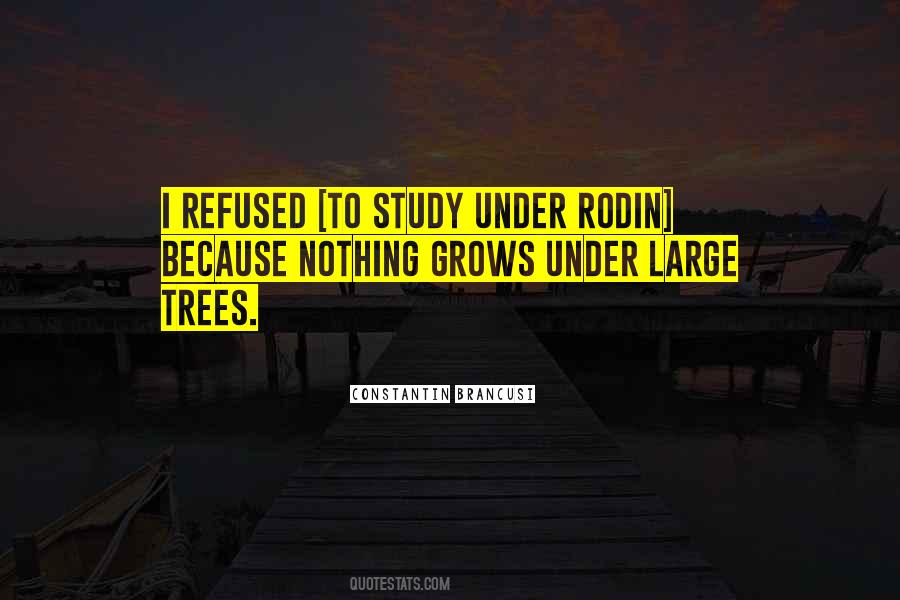 Tree Grows Quotes #1039467
