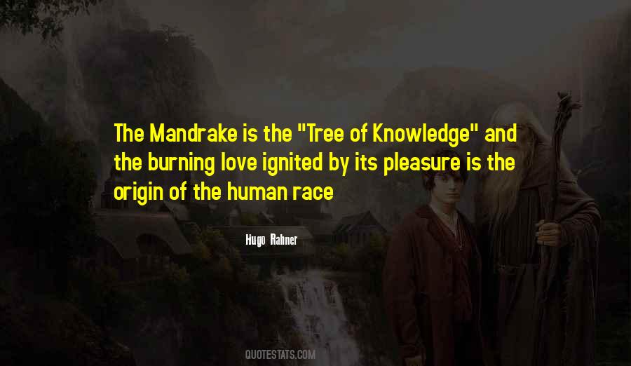 Tree Knowledge Quotes #1017199