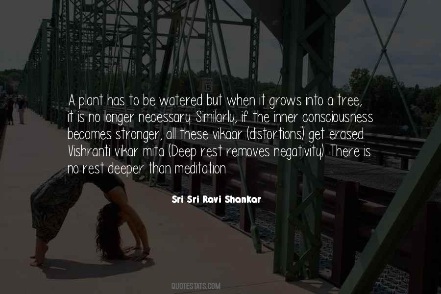 Tree Plant Quotes #1656185