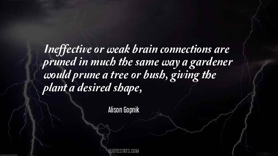 Tree Plant Quotes #240707