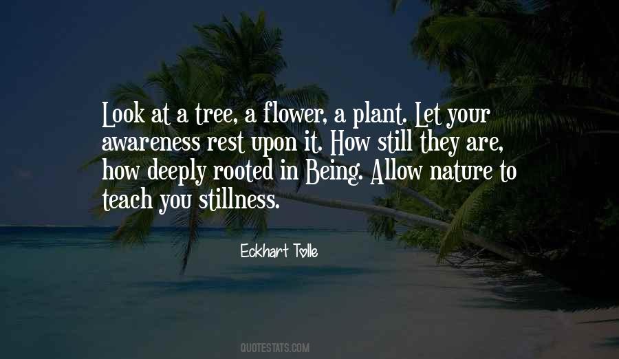 Tree Plant Quotes #391515