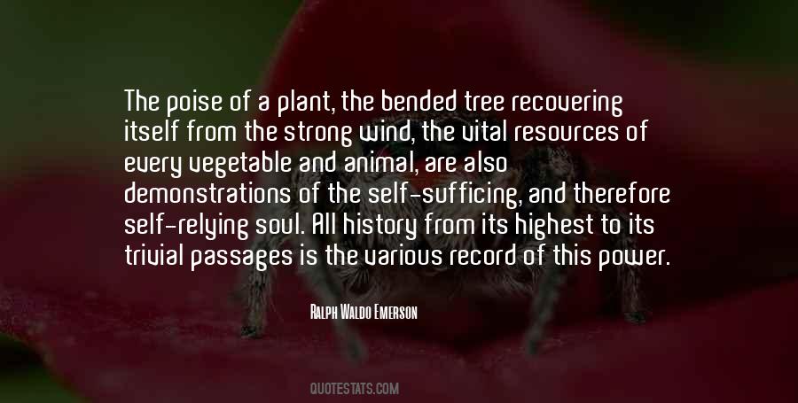 Tree Plant Quotes #552633