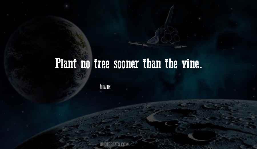 Tree Vines Quotes #176683