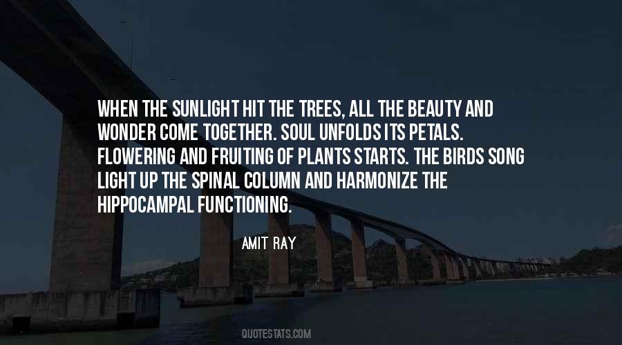 Trees And Plants Quotes #691202