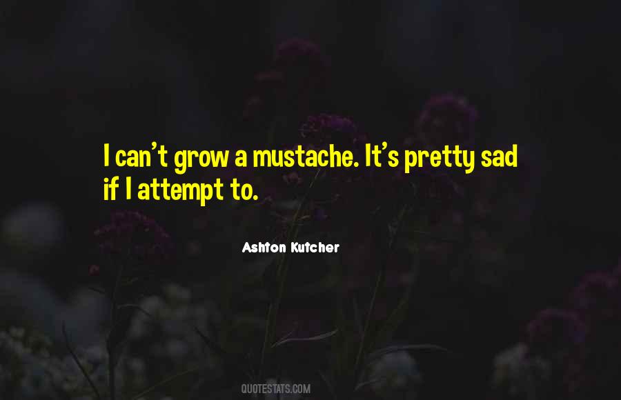 Quotes About Ashton Kutcher #535743