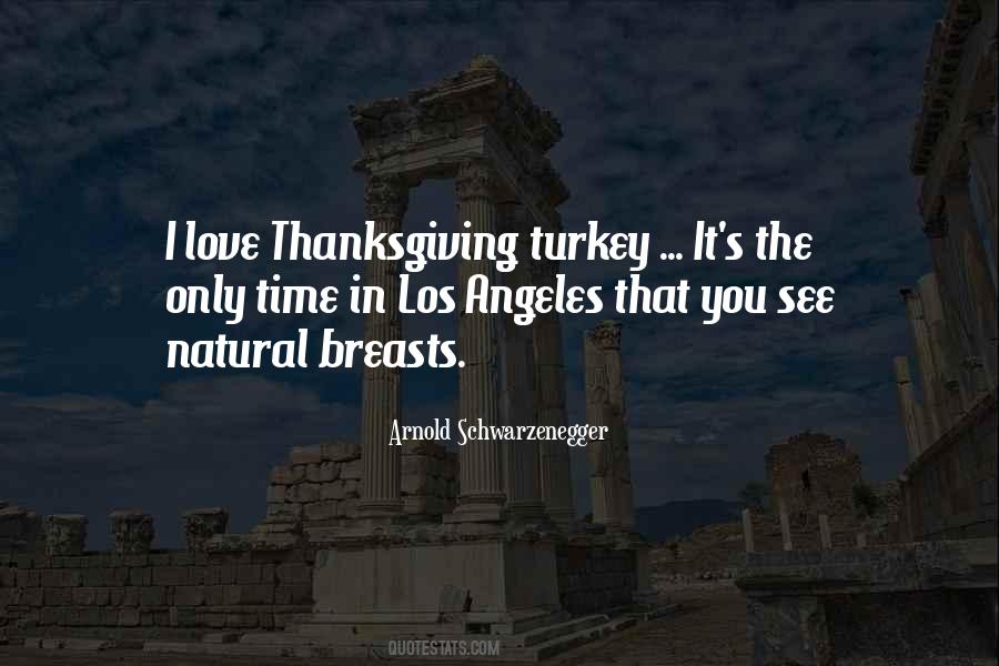 Quotes About Turkey #1278831