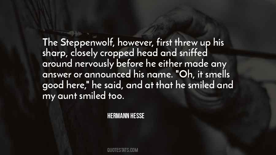 Quotes About Steppenwolf #701161