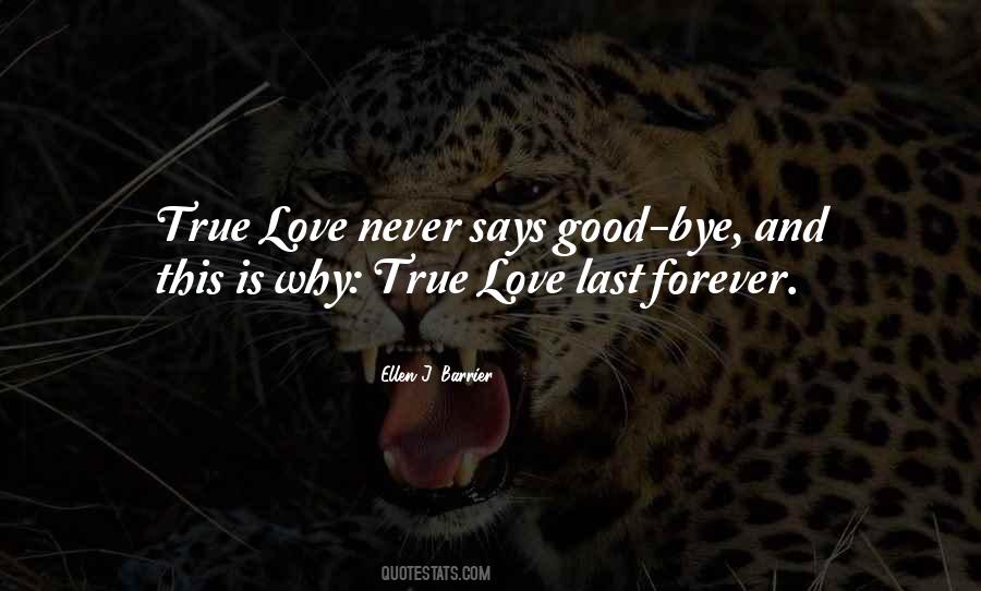 True Love Never Quotes #592678