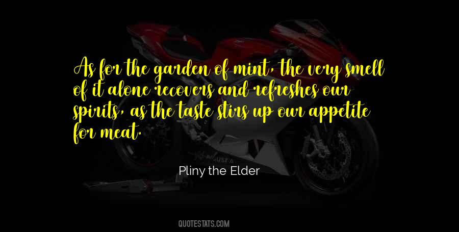 Quotes About Pliny The Elder #132657