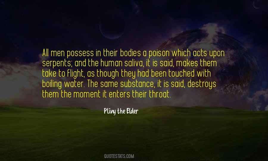 Quotes About Pliny The Elder #158421