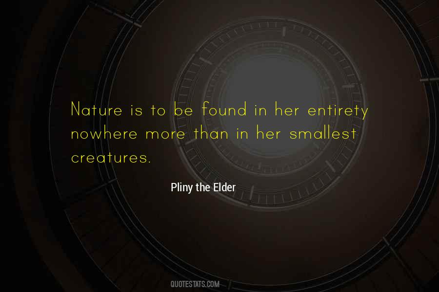 Quotes About Pliny The Elder #475085