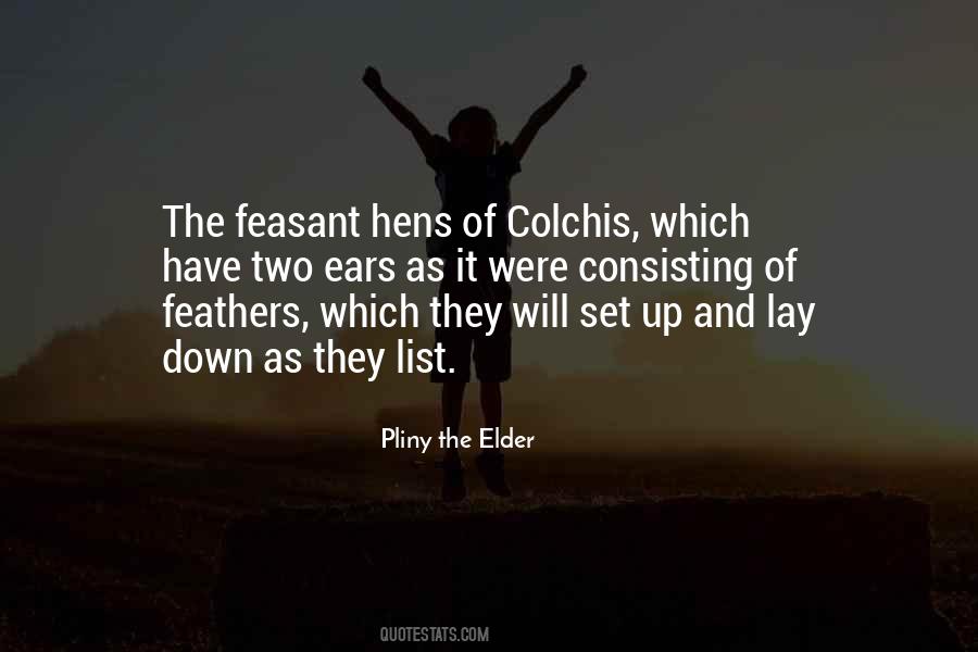 Quotes About Pliny The Elder #706130