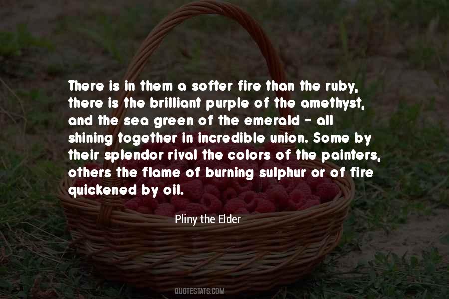Quotes About Pliny The Elder #760568