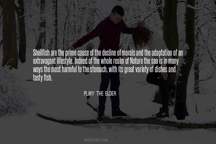 Quotes About Pliny The Elder #894420