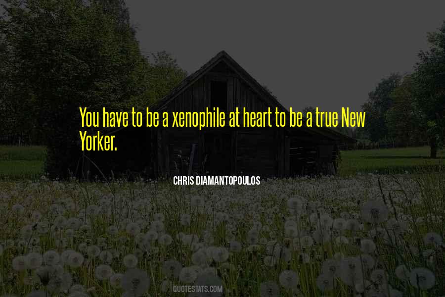 True New Yorker Quotes #1168041