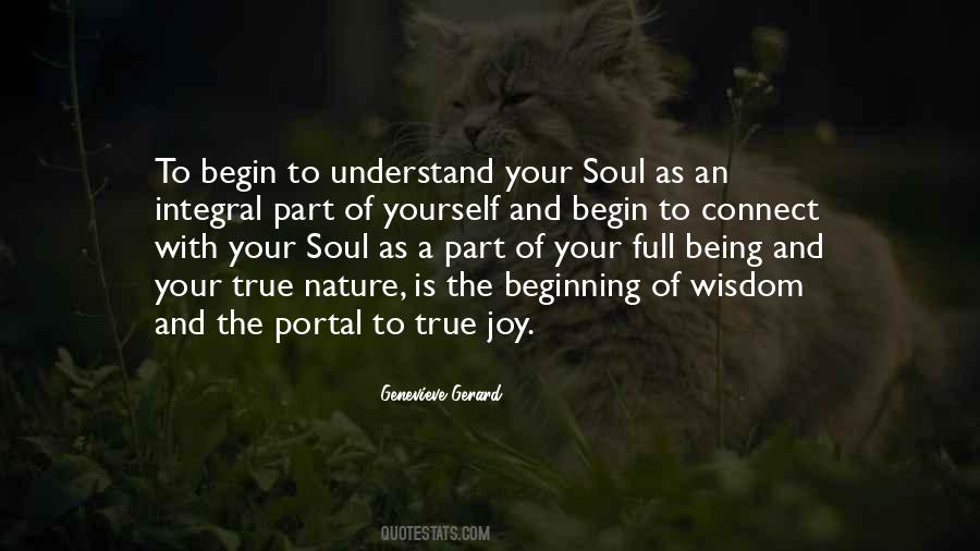 True Soul Connection Quotes #587166