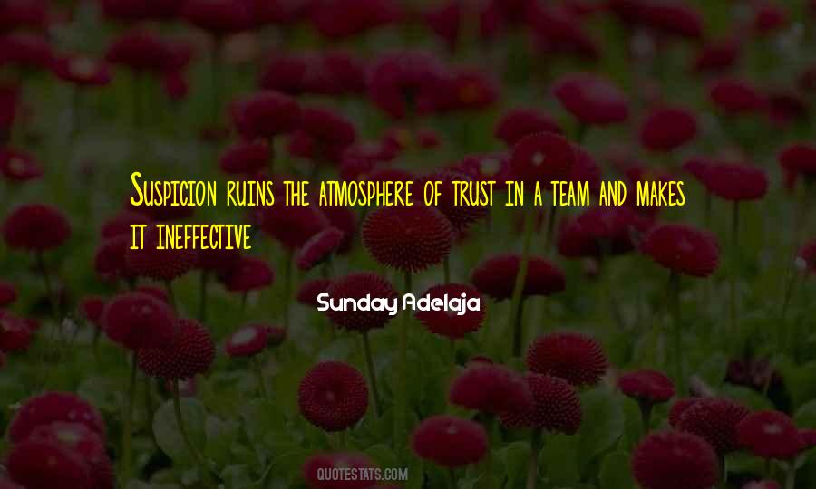 Trust The Team Quotes #591724