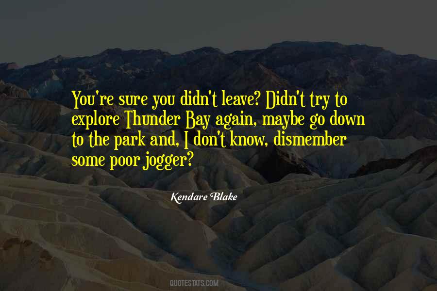 Try Again And Again Quotes #68402