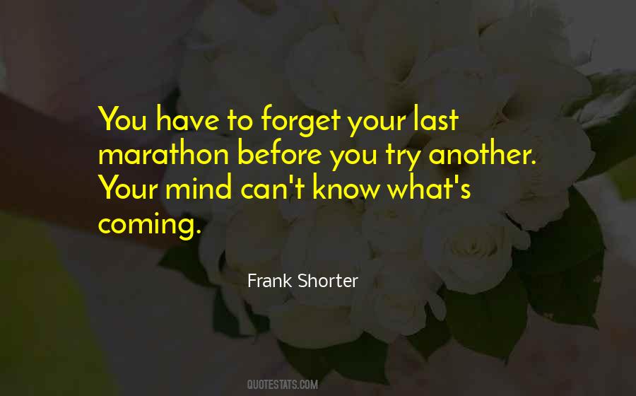 Try To Forget You Quotes #1196928