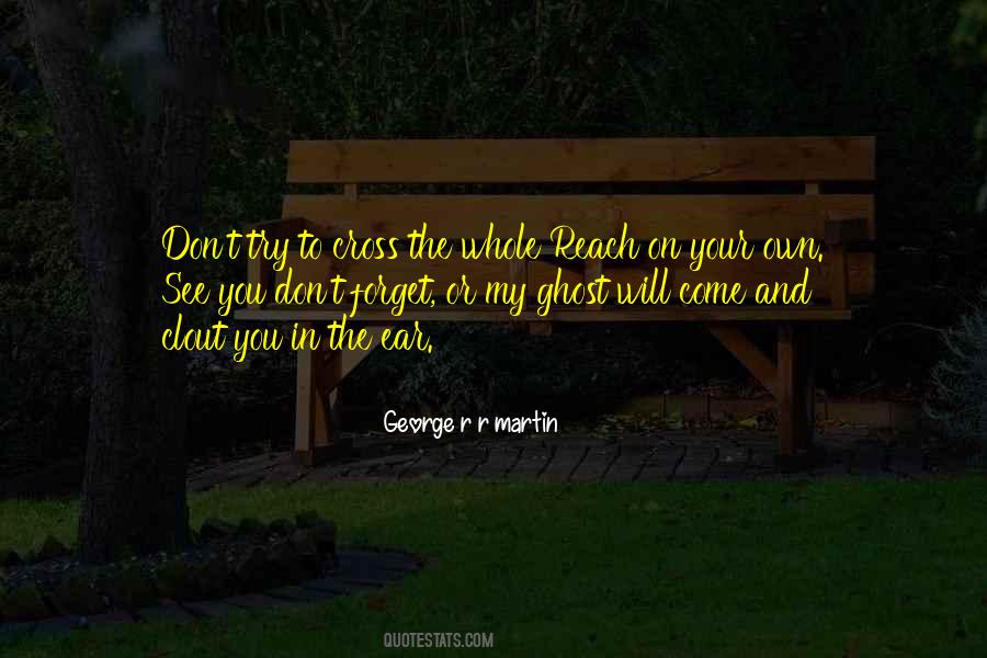 Try To Forget You Quotes #535506