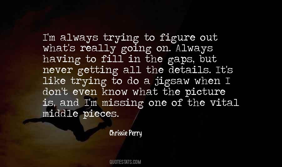 Trying To Figure It All Out Quotes #318956