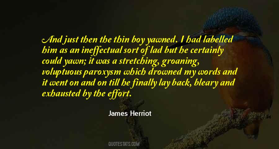 Quotes About James Herriot #1348012