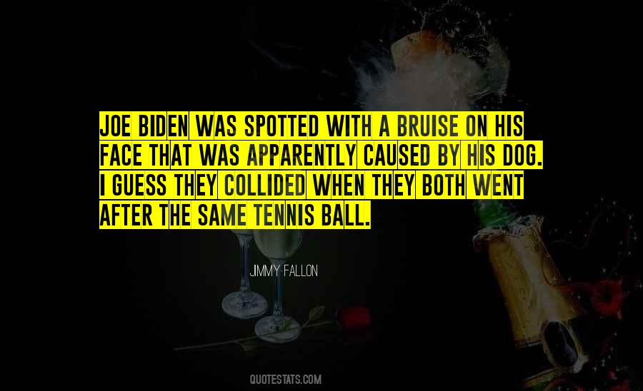 Quotes About Joe Biden #1175436