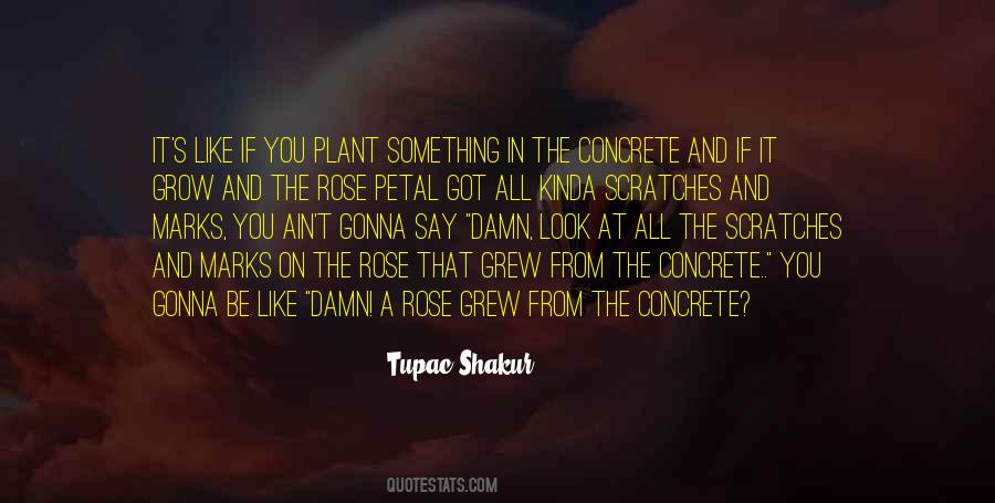 Tupac's Quotes #496342