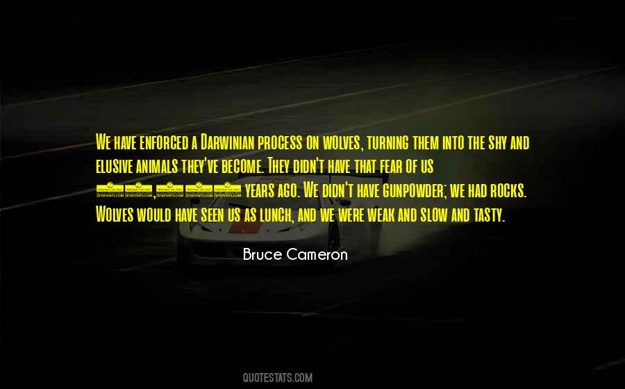 Turning 35 Years Old Quotes #96143