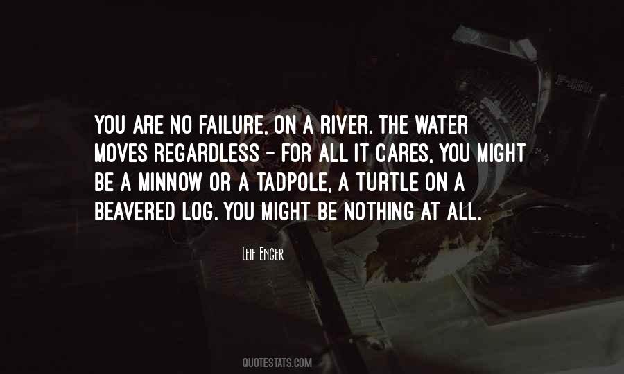 Turtle Quotes #1048761