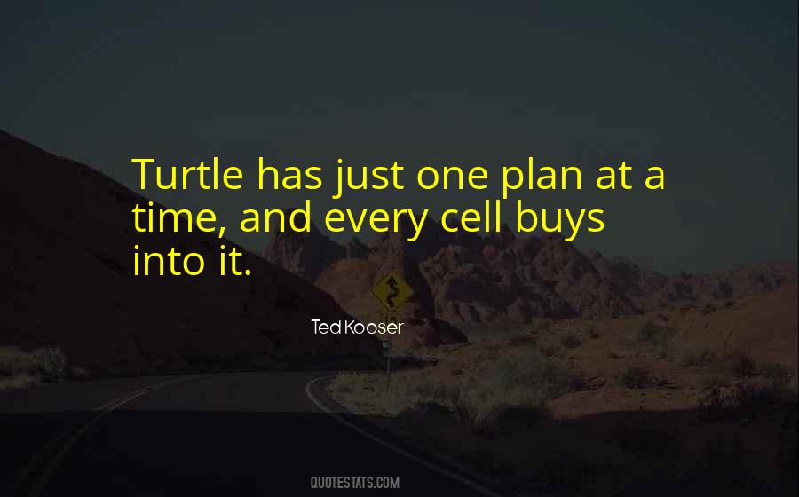 Turtle Quotes #1066230