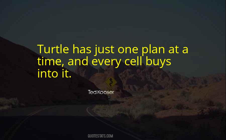 Turtle Quotes #1066230