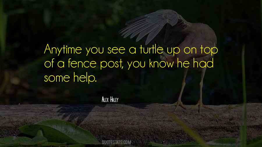 Turtle Quotes #1645792