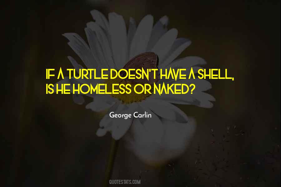 Turtle Quotes #1659928