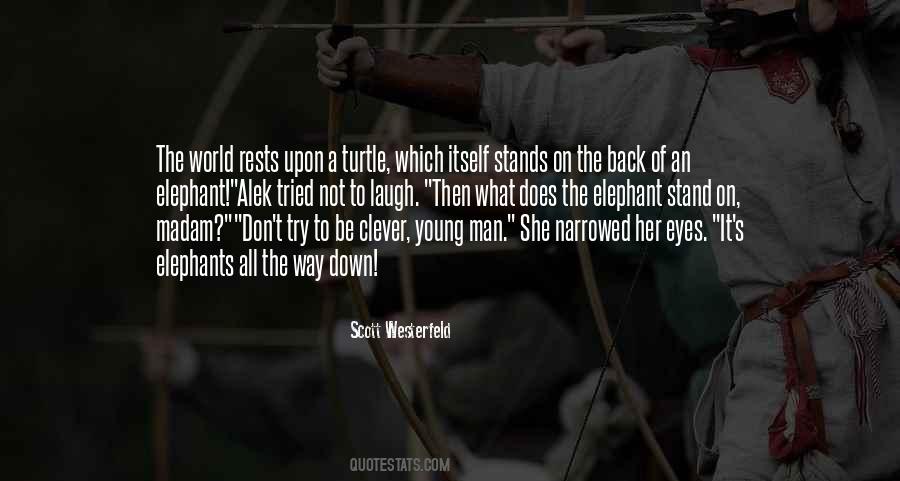 Turtle Quotes #1662421