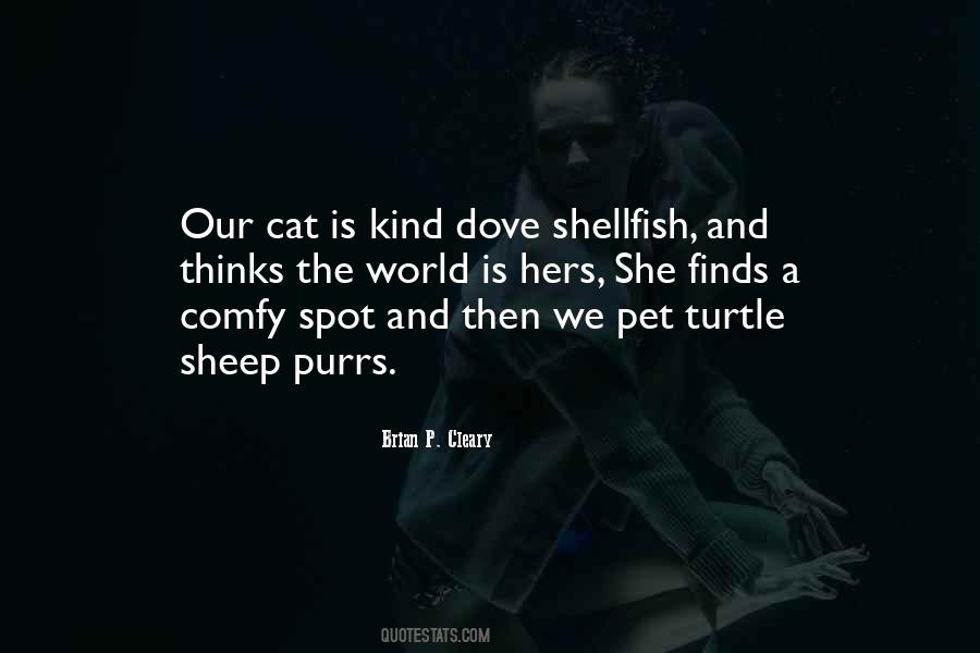 Turtle Quotes #1689775