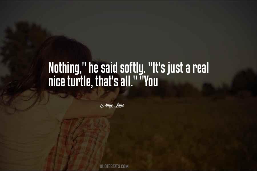Turtle Quotes #1712649