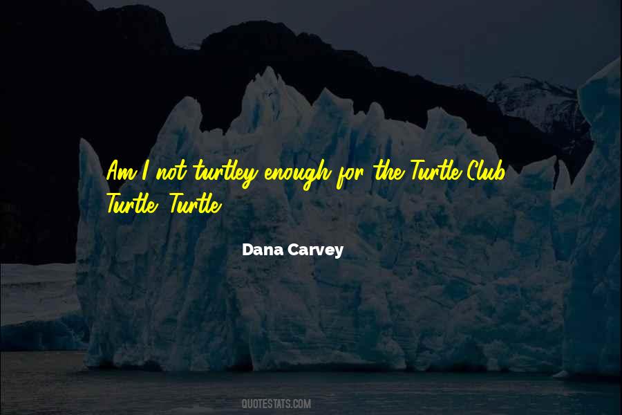 Turtle Quotes #1717038