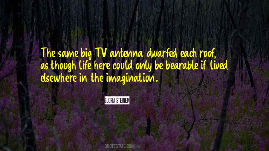 Tv Antenna Quotes #1738328