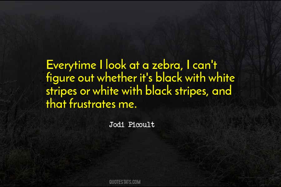 Quotes About The White Stripes #219888