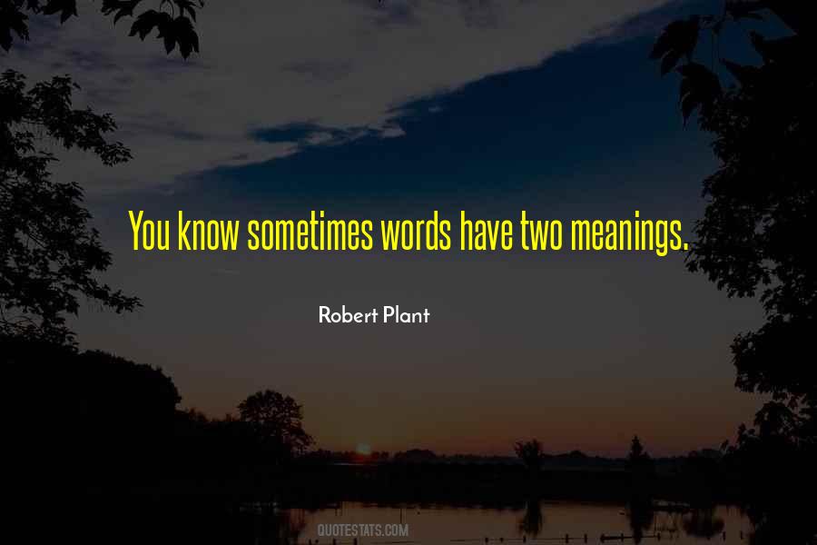 Two Meanings Quotes #572799