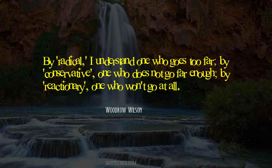 Quotes About Woodrow Wilson #211824