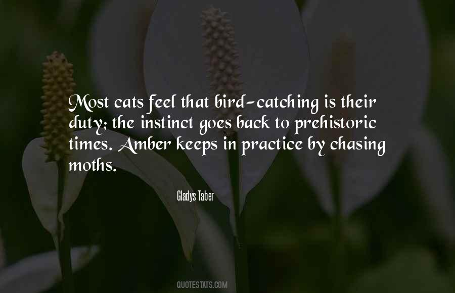 Quotes About Sue Bird #34