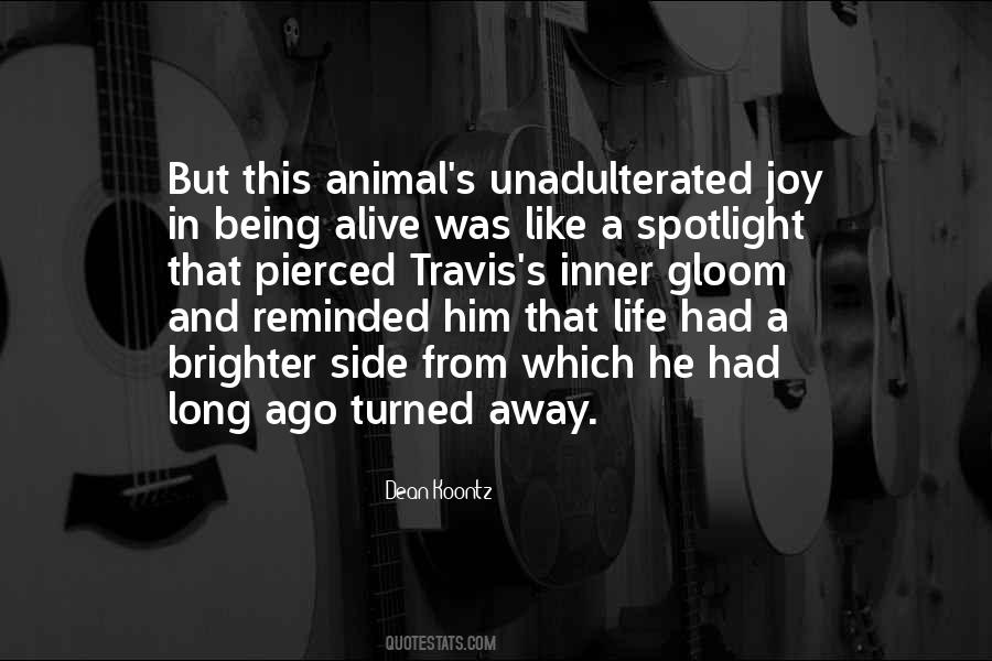 Unadulterated Quotes #669501