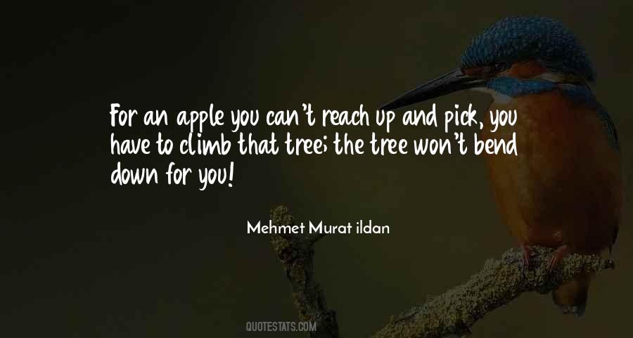 Under The Apple Tree Quotes #105882