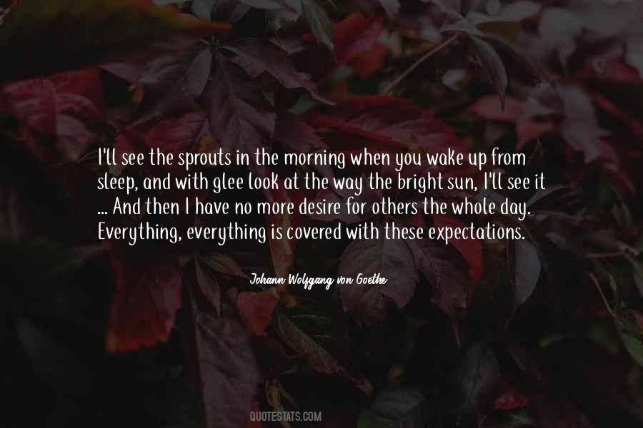 Quotes About No More Expectations #1641621